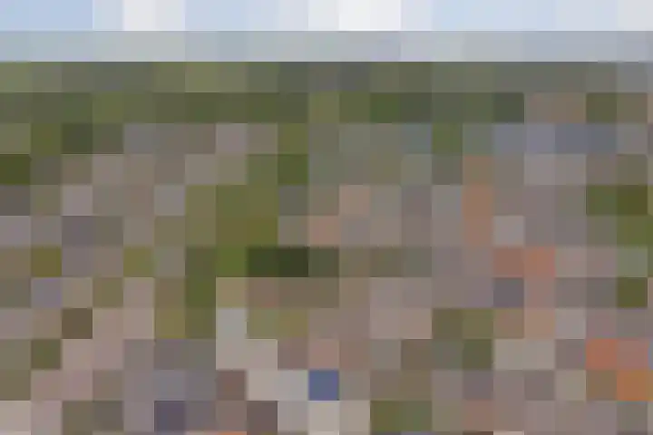 Bosweg 71 Strijen thumbnail 34
