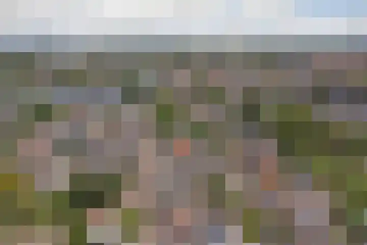 Bosweg 71 Strijen thumbnail 35
