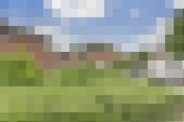 Bosweg 71 Strijen thumbnail 4