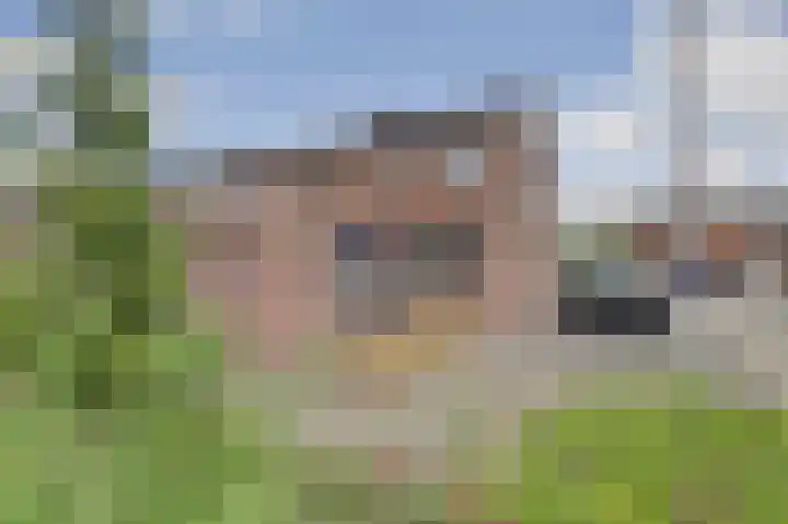 Bosweg 71 Strijen thumbnail 48