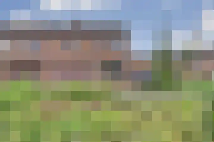 Bosweg 71 Strijen thumbnail 5
