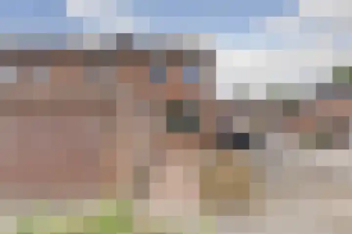 Bosweg 71 Strijen thumbnail 6
