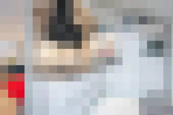 Bosweg 71 Strijen thumbnail 7