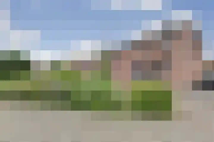 Bosweg 71 Strijen thumbnail 7