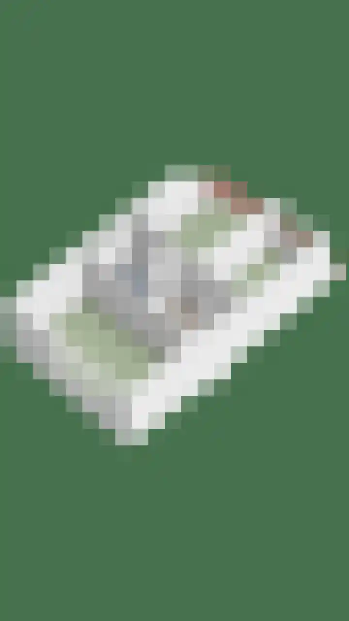 Bosweg 71 Strijen thumbnail 9