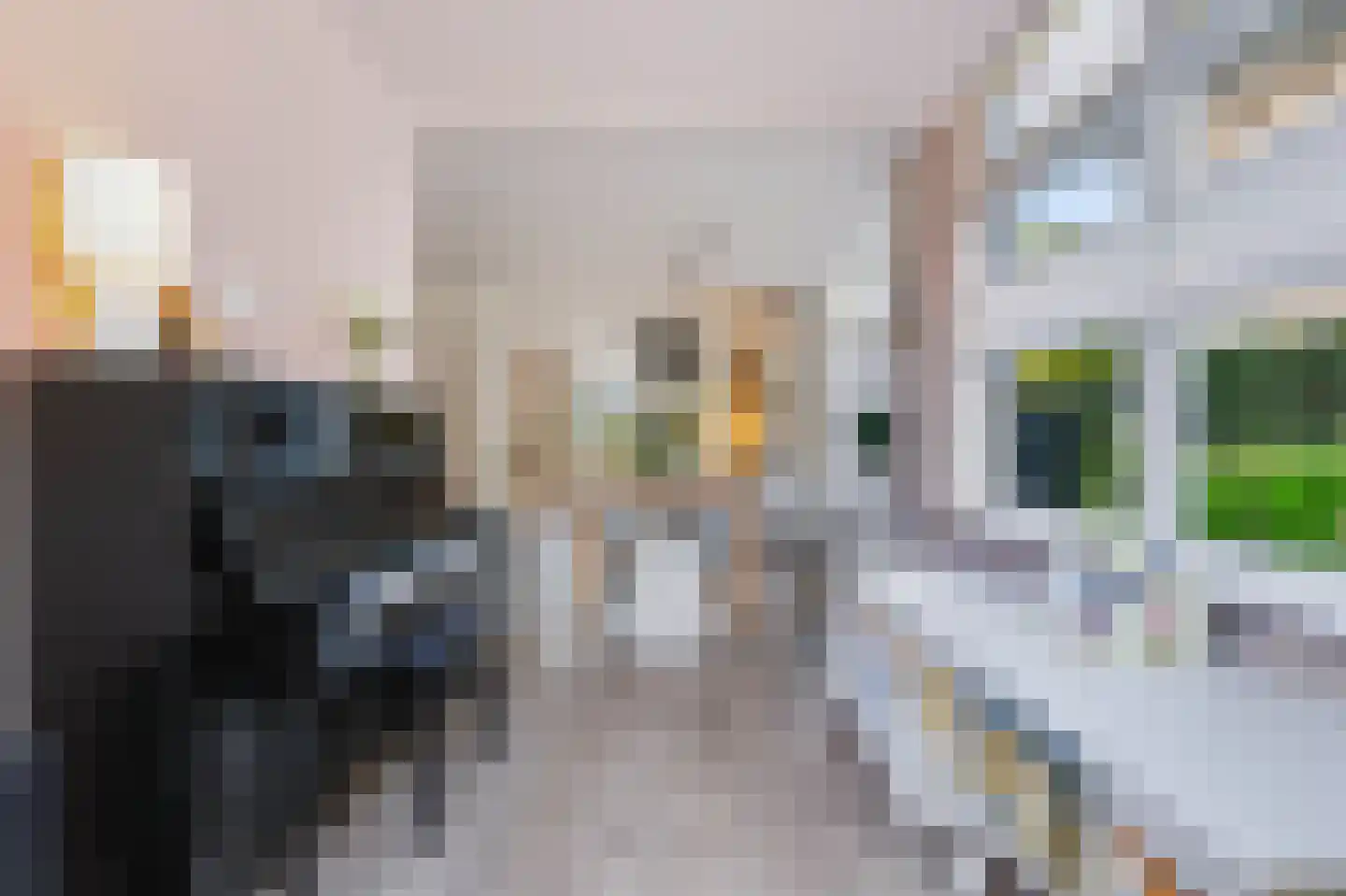 Bosweg 74 Apeldoorn thumbnail 14