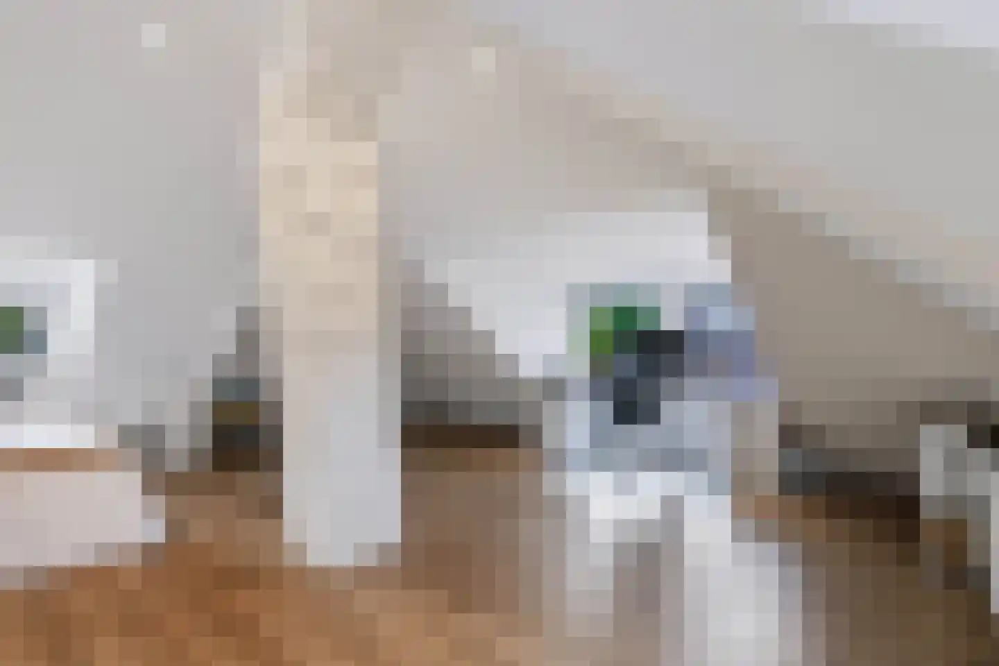 Bosweg 74 Apeldoorn thumbnail 26