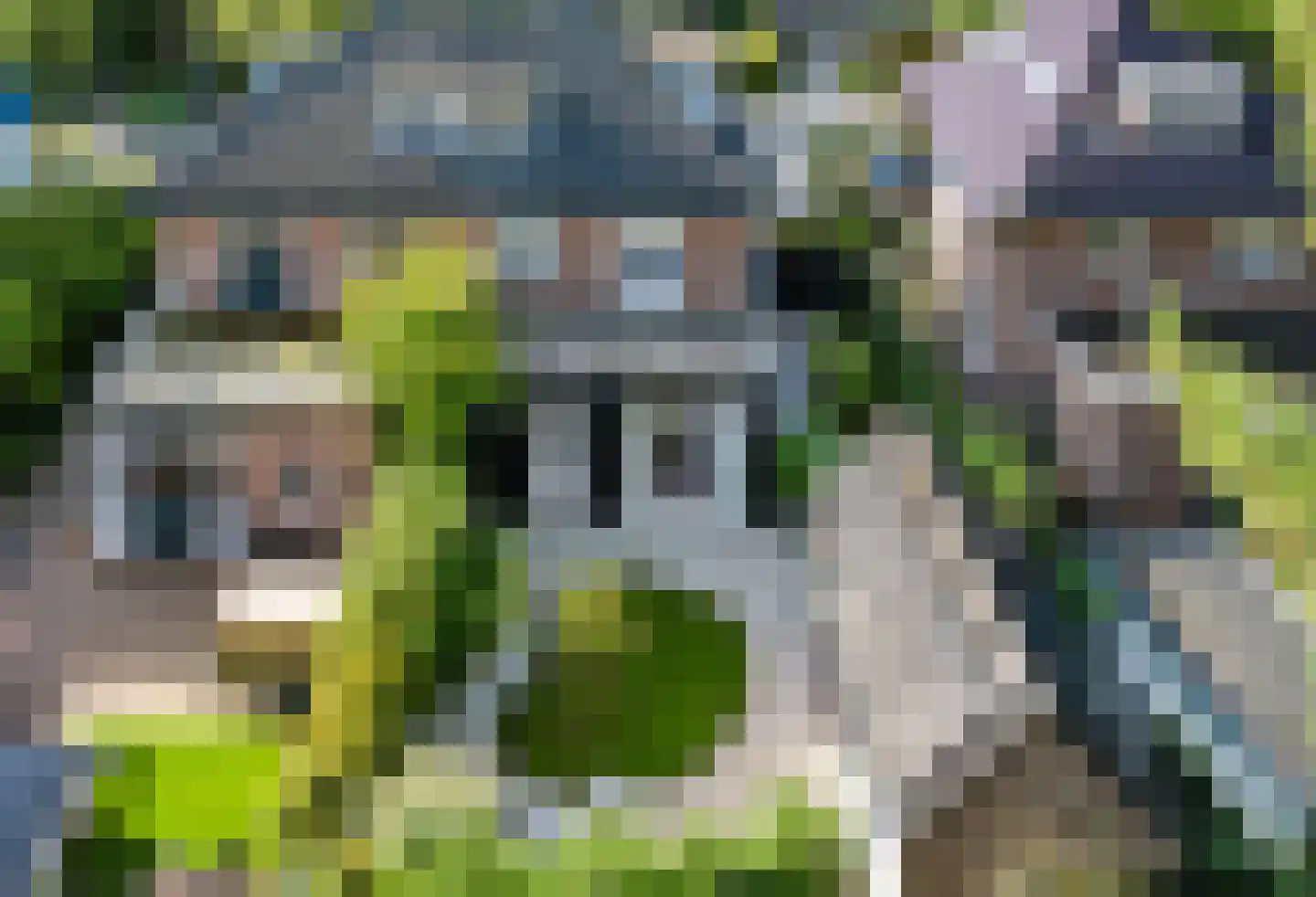 Bosweg 74 Apeldoorn thumbnail 34