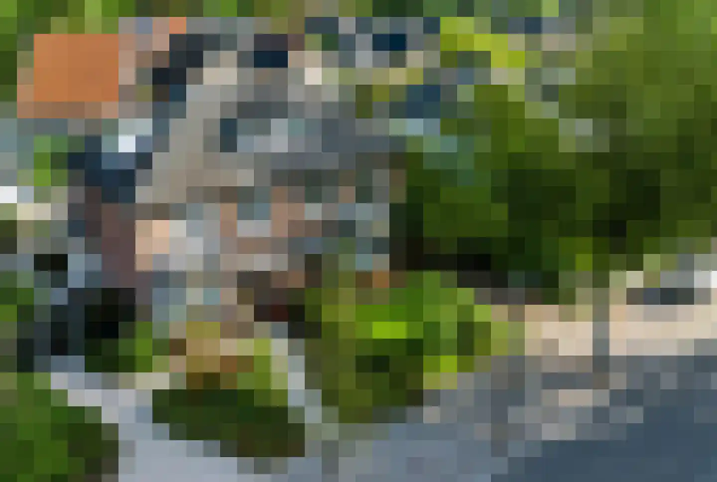 Bosweg 74 Apeldoorn thumbnail 35