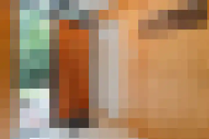 Bosweg 74 Dalfsen thumbnail 10