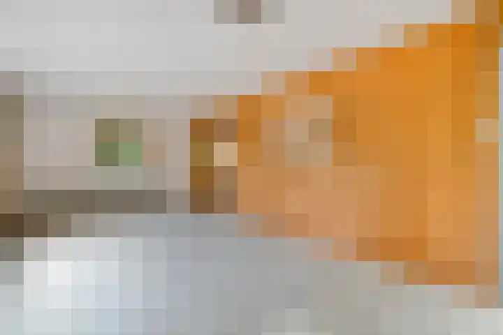 Bosweg 74 Dalfsen thumbnail 13