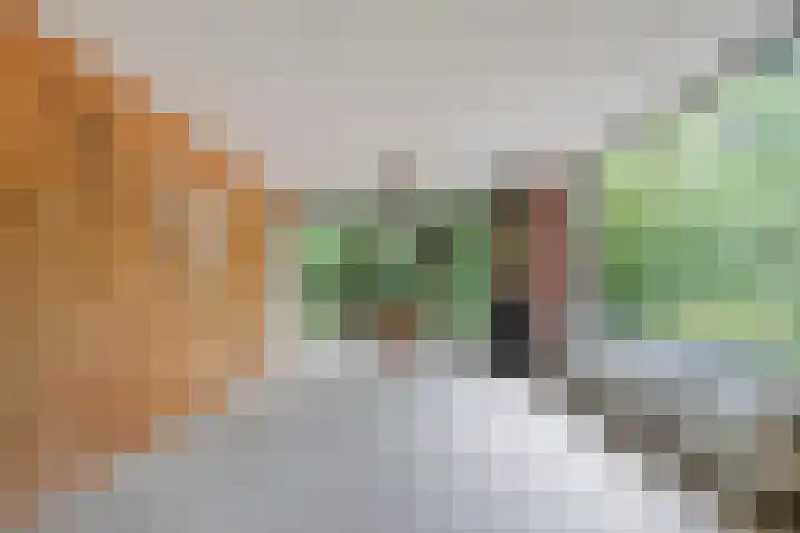 Bosweg 74 Dalfsen thumbnail 14