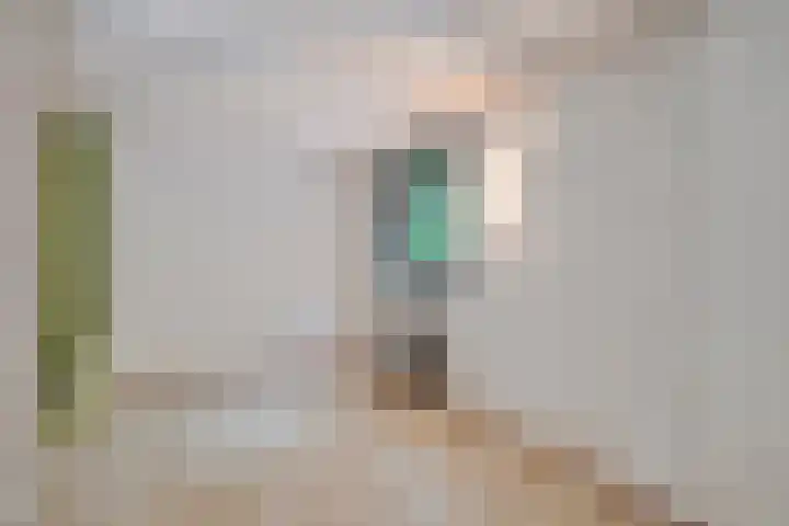 Bosweg 74 Dalfsen thumbnail 23