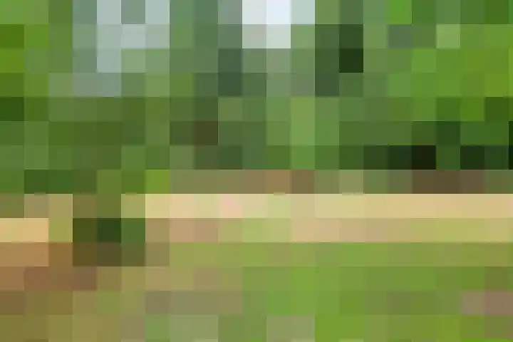 Bosweg 74 Dalfsen thumbnail 32