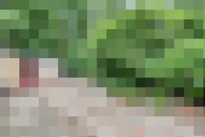 Bosweg 74 Dalfsen thumbnail 35