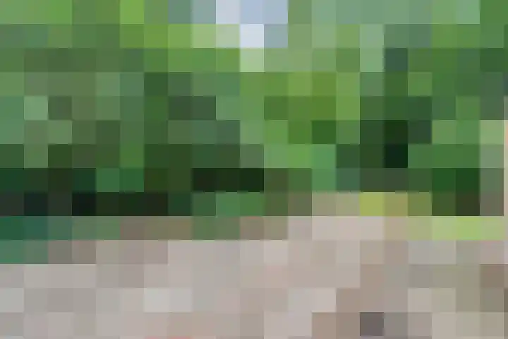 Bosweg 74 Dalfsen thumbnail 5