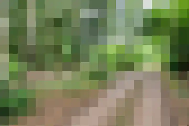 Bosweg 74 Dalfsen thumbnail 6
