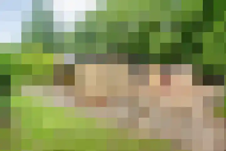 Bosweg 74 Dalfsen thumbnail 7