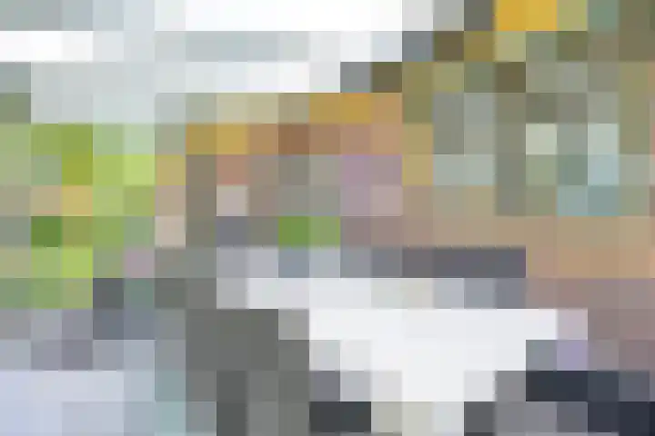 Bosweg 8 A 't Zand thumbnail 12