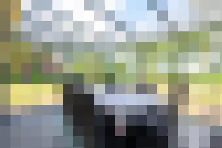 Bosweg 8 A 't Zand thumbnail 13