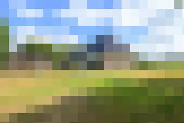 Bosweg 8 A 't Zand thumbnail 16