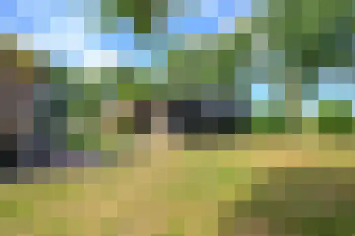 Bosweg 8 A 't Zand thumbnail 17