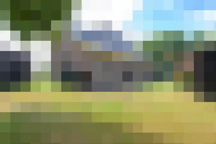Bosweg 8 A 't Zand thumbnail 18