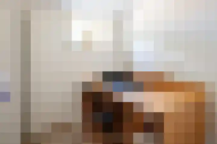 Bosweg 8 A 't Zand thumbnail 29