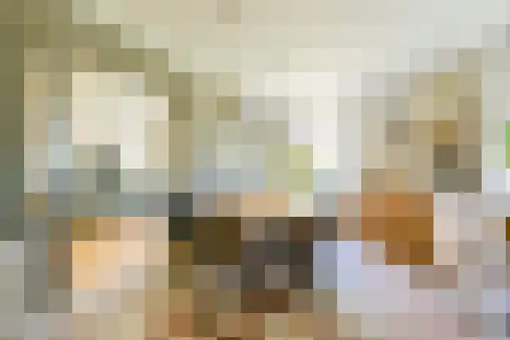 Bosweg 8 A 't Zand thumbnail 4