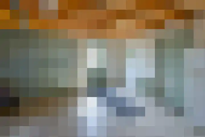 Bosweg 8 A 't Zand thumbnail 41