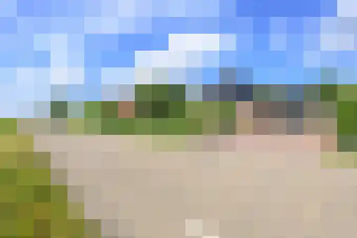 Bosweg 8 A 't Zand thumbnail 44