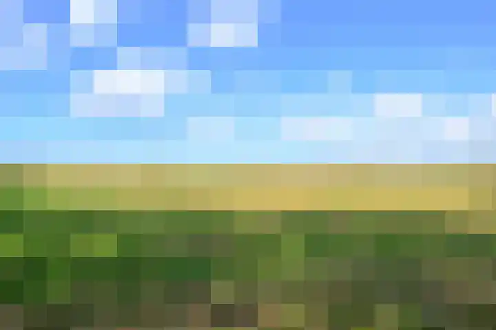 Bosweg 8 A 't Zand thumbnail 45