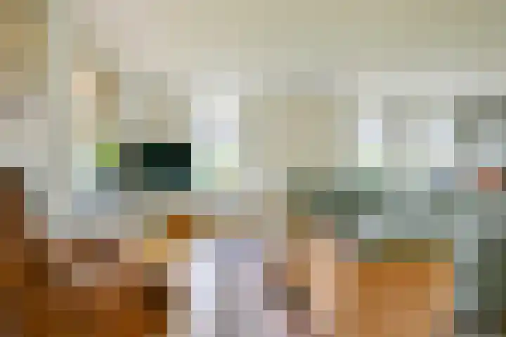 Bosweg 8 A 't Zand thumbnail 5