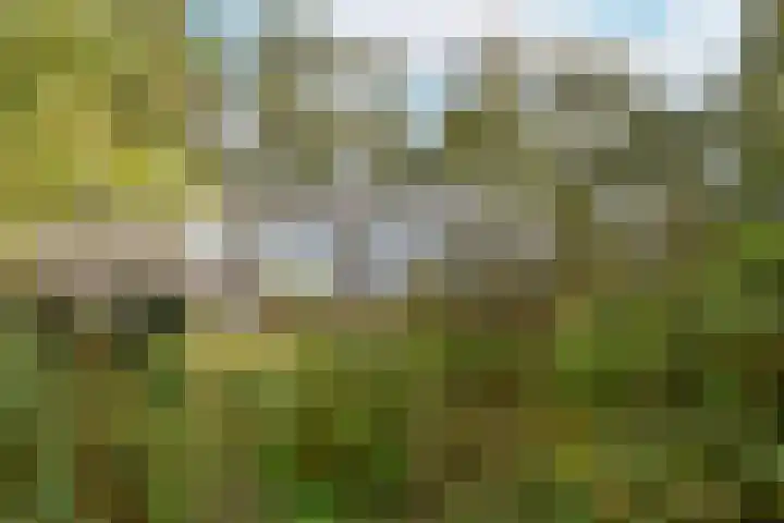 Bosweg 8 L Woerdense Verlaat thumbnail 14