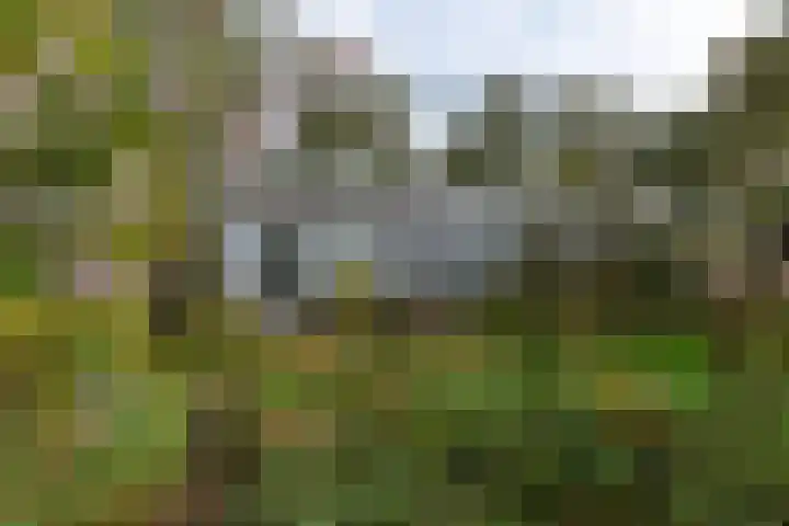 Bosweg 8 L Woerdense Verlaat thumbnail 15