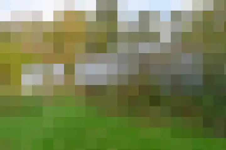 Bosweg 8 L Woerdense Verlaat thumbnail 16