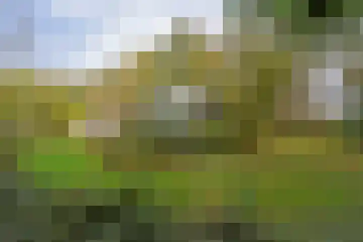 Bosweg 8 L Woerdense Verlaat thumbnail 17