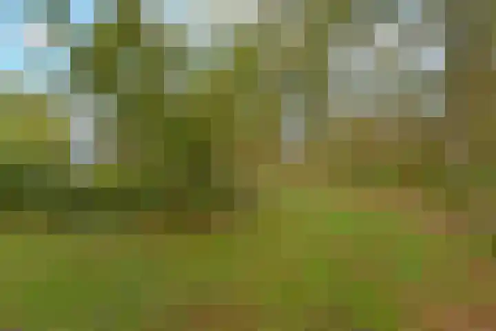 Bosweg 8 L Woerdense Verlaat thumbnail 18