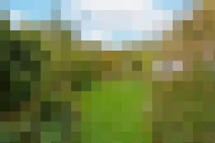 Bosweg 8 L Woerdense Verlaat thumbnail 19