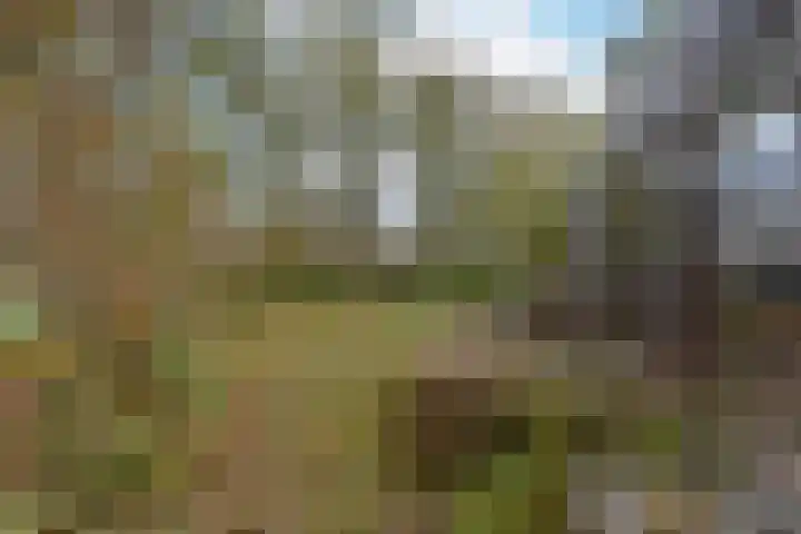 Bosweg 8 L Woerdense Verlaat thumbnail 20