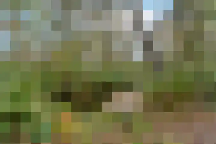 Bosweg 8 L Woerdense Verlaat thumbnail 21
