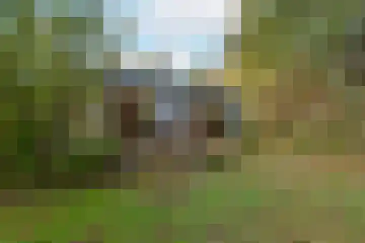 Bosweg 8 L Woerdense Verlaat thumbnail 22