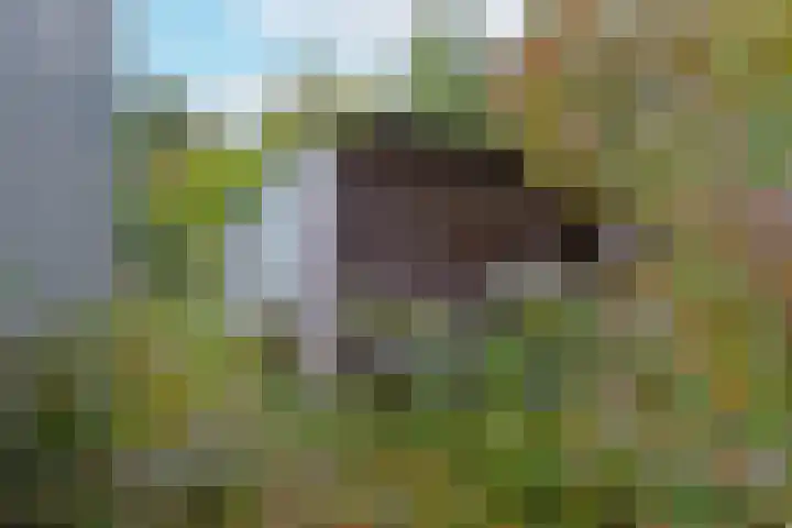 Bosweg 8 L Woerdense Verlaat thumbnail 23
