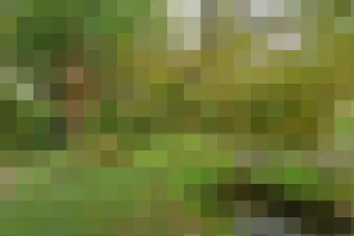 Bosweg 8 L Woerdense Verlaat thumbnail 26