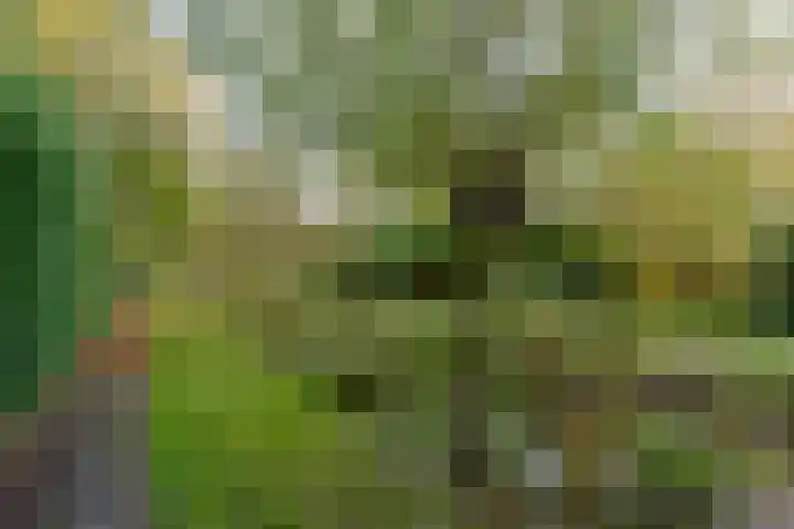 Bosweg 8 L Woerdense Verlaat thumbnail 27