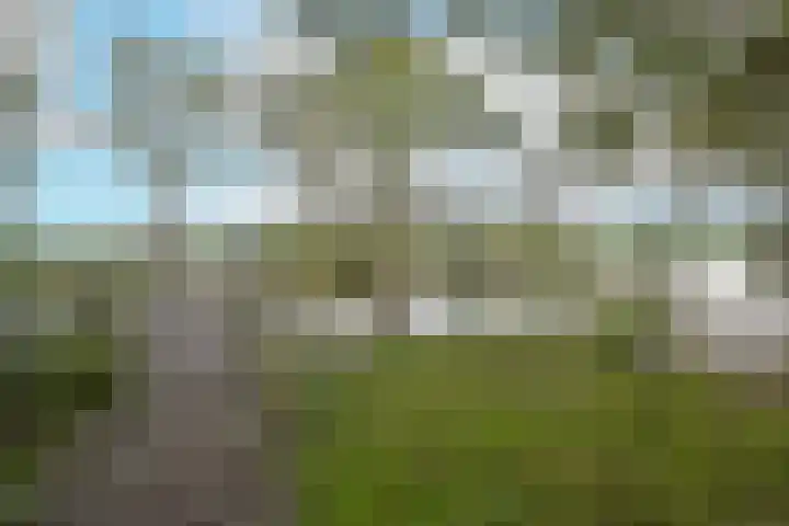 Bosweg 8 L Woerdense Verlaat thumbnail 28