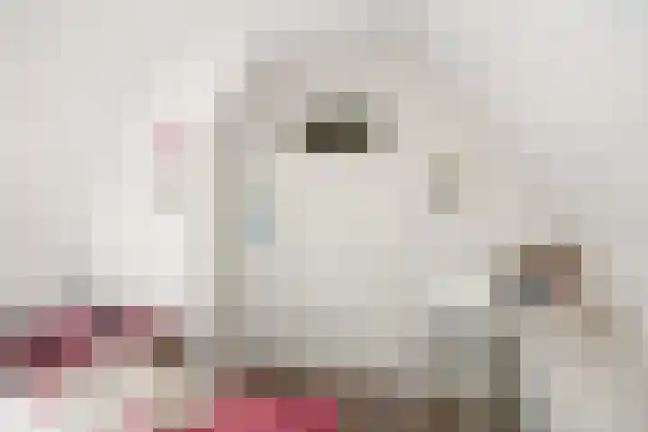 Bosweg 8 Loppersum thumbnail 29