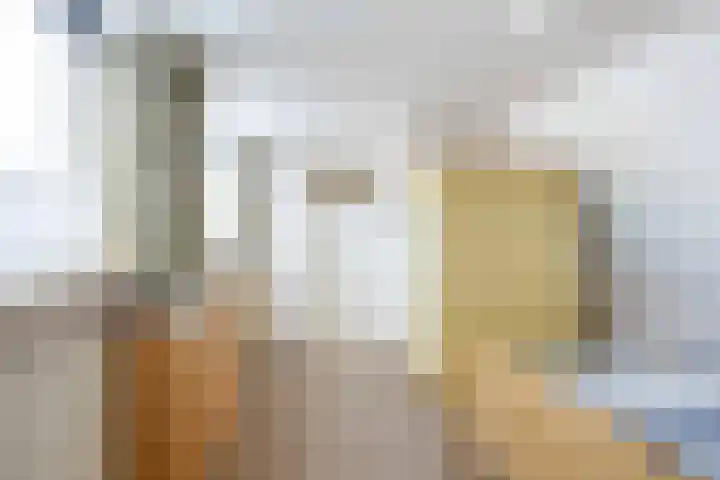 Bosweg 8 Loppersum thumbnail 31