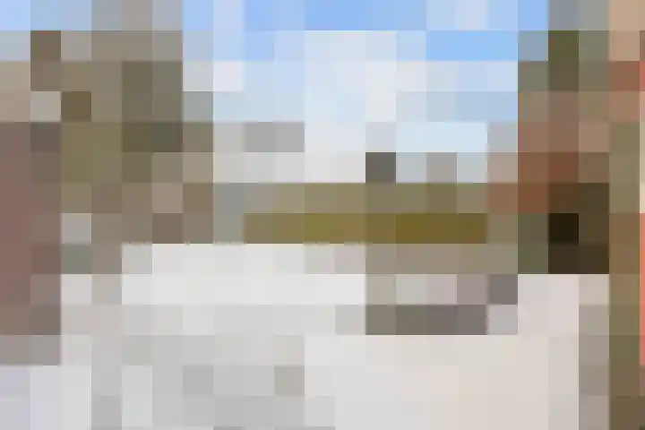 Bosweg 8 Loppersum thumbnail 34