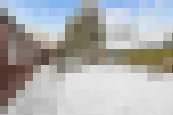 Bosweg 8 Loppersum thumbnail 36